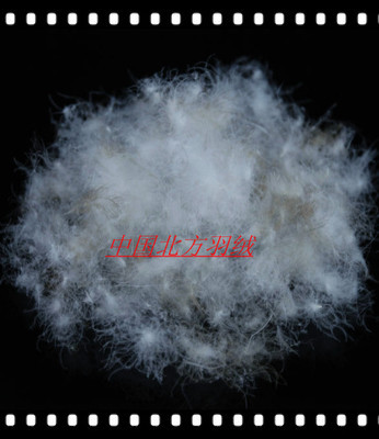 【鴨毛 羽絨供應(yīng)遼寧的好羽絨 羽絨】?jī)r(jià)格,廠家,圖片,羽毛、羽絨,安新縣大張莊北方羽絨制品銷(xiāo)售部-