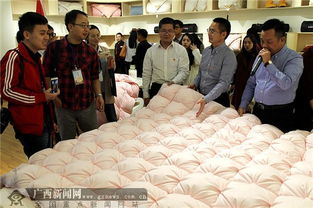 全國網(wǎng)媒聚焦中國羽絨之鄉(xiāng) 港南橋圩羽絨及制品加工發(fā)展新格局